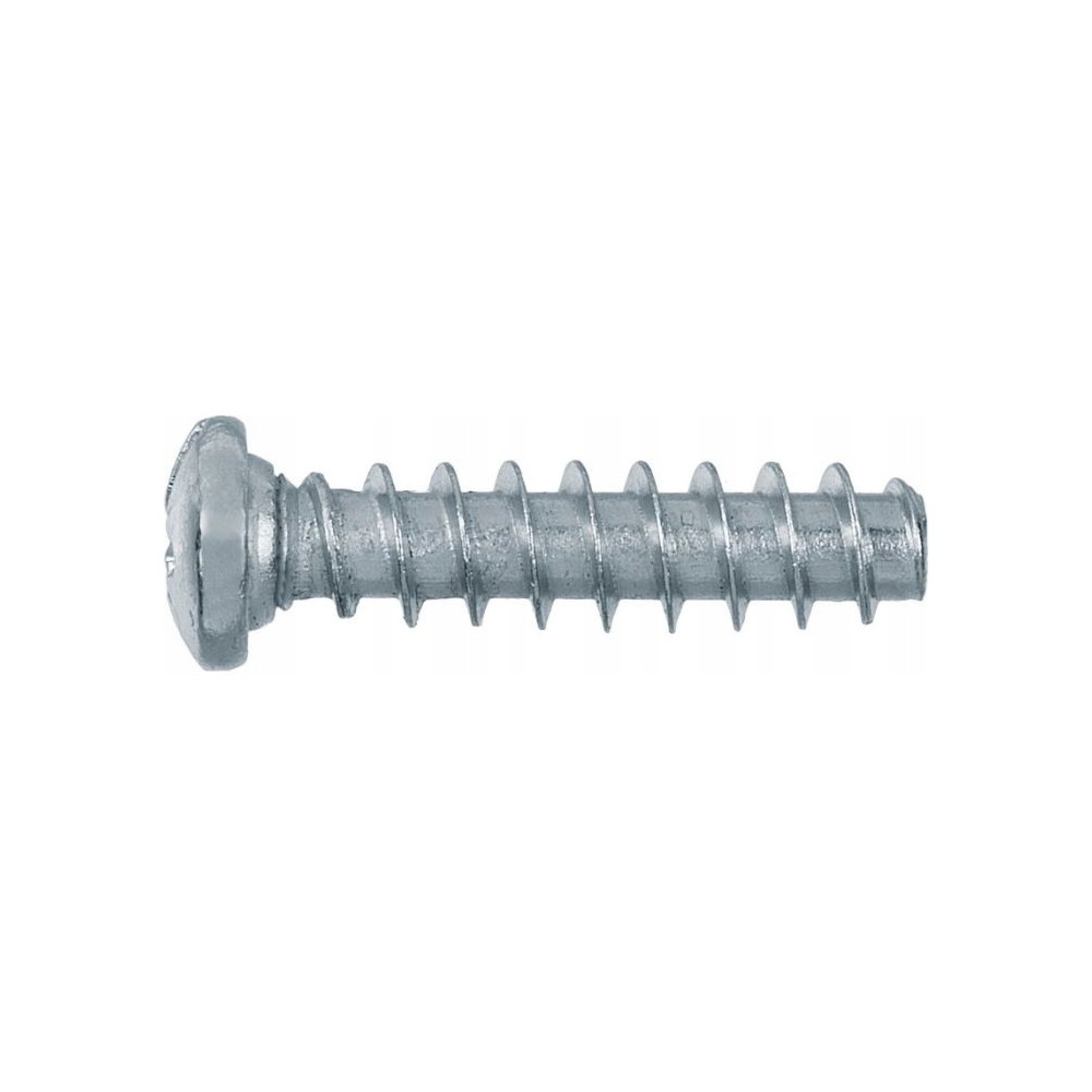 Wkręt Euro Walcowy Zawiasów 6,3 x 13 mm 10szt.